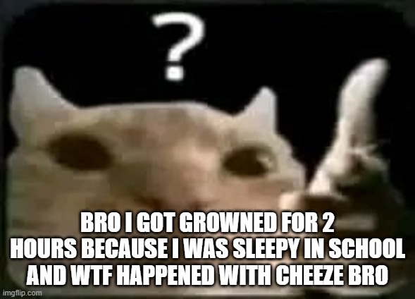 ? | BRO I GOT GROWNED FOR 2 HOURS BECAUSE I WAS SLEEPY IN SCHOOL AND WTF HAPPENED WITH CHEEZE BRO | made w/ Imgflip meme maker