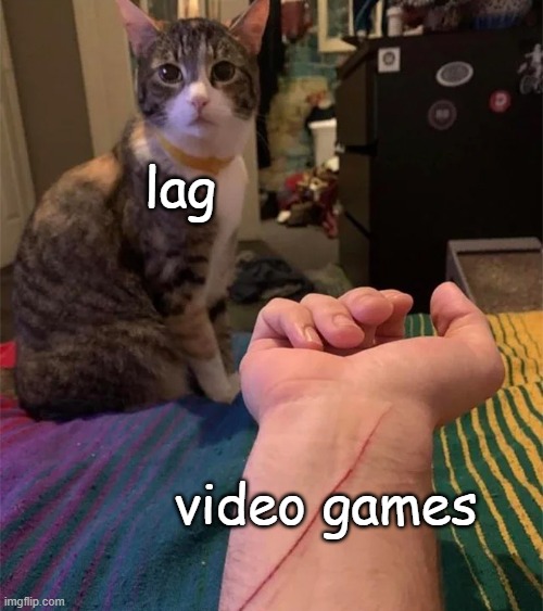 uh oh.. | lag; video games | image tagged in cat scratch | made w/ Imgflip meme maker