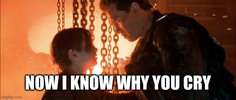 Terminator: I know now why you cry | NOW I KNOW WHY YOU CRY | image tagged in terminator i know now why you cry | made w/ Imgflip meme maker