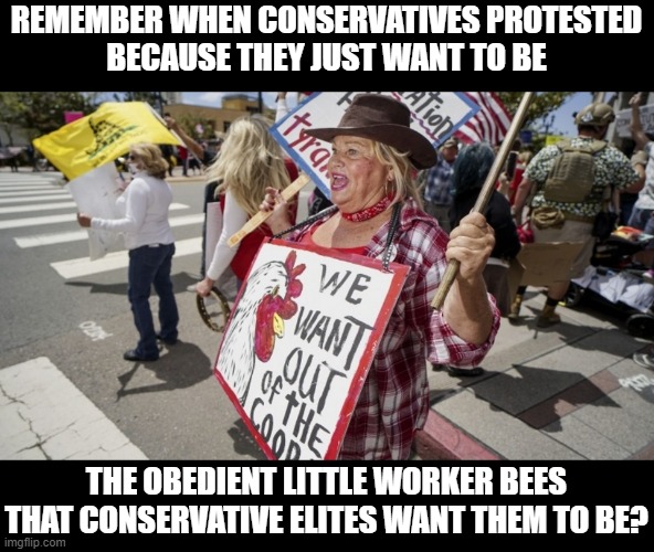 "I'll always be my employer's beast of burden." - The Rolling Stones, if they were conservative | REMEMBER WHEN CONSERVATIVES PROTESTED
BECAUSE THEY JUST WANT TO BE; THE OBEDIENT LITTLE WORKER BEES THAT CONSERVATIVE ELITES WANT THEM TO BE? | image tagged in conservative logic,work,slavery,elite,wages,the rolling stones | made w/ Imgflip meme maker