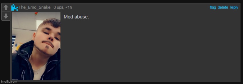 Mod abuse | image tagged in mod abuse | made w/ Imgflip meme maker