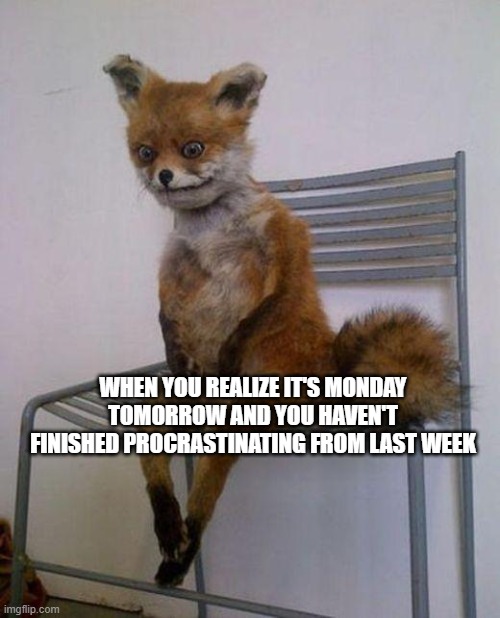 monday | WHEN YOU REALIZE IT'S MONDAY TOMORROW AND YOU HAVEN'T FINISHED PROCRASTINATING FROM LAST WEEK | image tagged in tired fox | made w/ Imgflip meme maker
