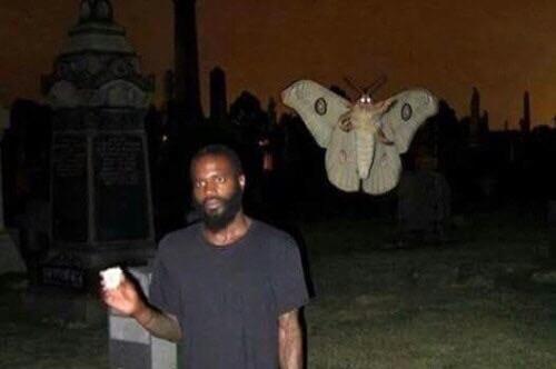 Man and Moth Blank Meme Template