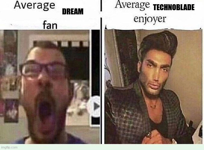 Yes | TECHNOBLADE; DREAM | image tagged in average blank fan vs average blank enjoyer | made w/ Imgflip meme maker