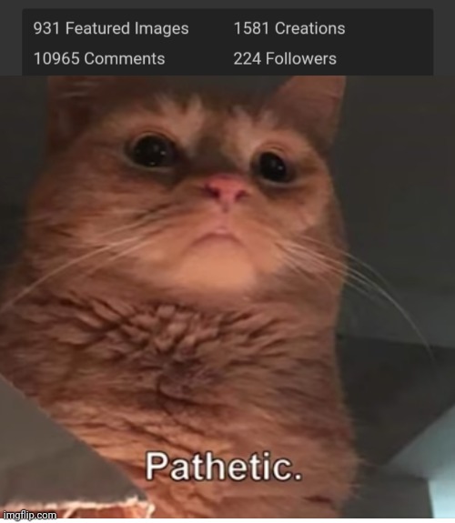 image tagged in pathetic cat gof | made w/ Imgflip meme maker