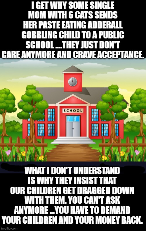 Just the facts jack | I GET WHY SOME SINGLE MOM WITH 6 CATS SENDS HER PASTE EATING ADDERALL GOBBLING CHILD TO A PUBLIC SCHOOL ....THEY JUST DON'T CARE ANYMORE AND CRAVE ACCEPTANCE. WHAT I DON'T UNDERSTAND IS WHY THEY INSIST THAT OUR CHILDREN GET DRAGGED DOWN WITH THEM. YOU CAN'T ASK ANYMORE ...YOU HAVE TO DEMAND YOUR CHILDREN AND YOUR MONEY BACK. | made w/ Imgflip meme maker