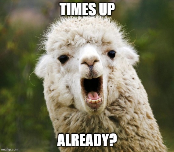 Wow Llama | TIMES UP; ALREADY? | image tagged in wow llama | made w/ Imgflip meme maker