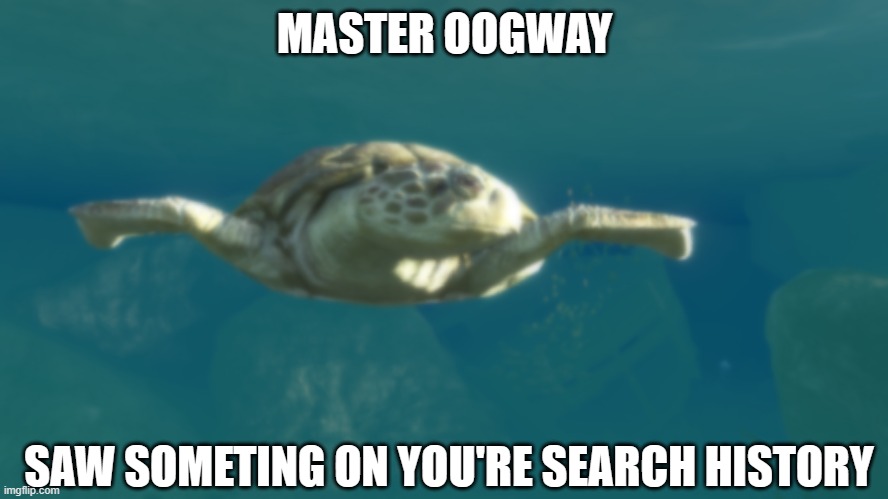 MASTER OOGWAY; SAW SOMETING ON YOU'RE SEARCH HISTORY | image tagged in wise kung fu master | made w/ Imgflip meme maker