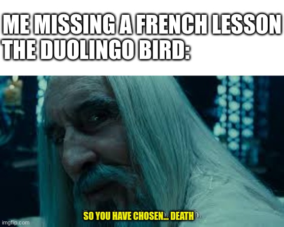 So you have chosen death | ME MISSING A FRENCH LESSON
THE DUOLINGO BIRD:; SO YOU HAVE CHOSEN... DEATH | image tagged in so you have chosen death | made w/ Imgflip meme maker