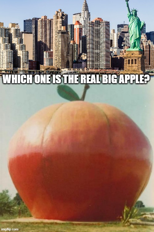 WHICH ONE IS THE REAL BIG APPLE? | image tagged in big apple | made w/ Imgflip meme maker
