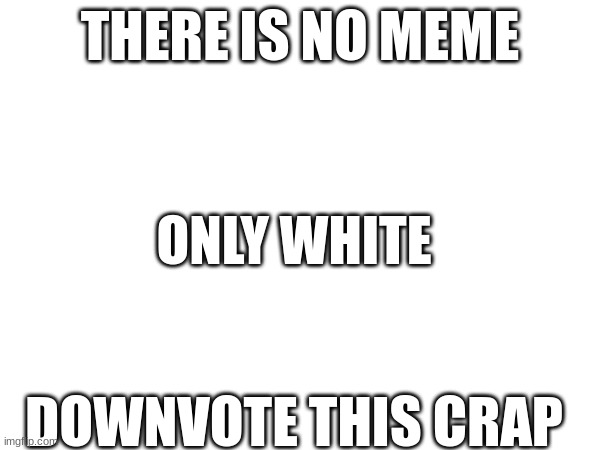 No meme | THERE IS NO MEME; ONLY WHITE; DOWNVOTE THIS CRAP | image tagged in blank white template | made w/ Imgflip meme maker