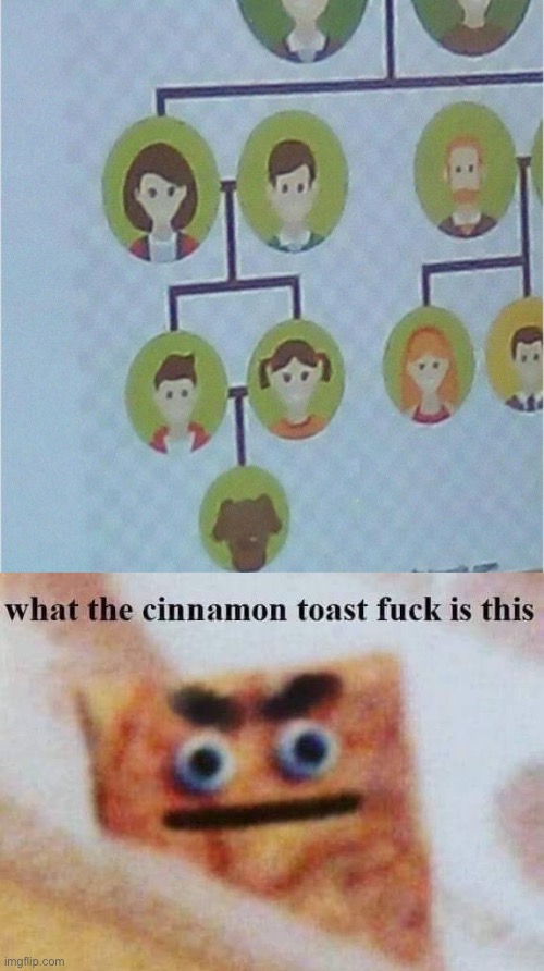 image tagged in what the cinnamon toast f is this | made w/ Imgflip meme maker