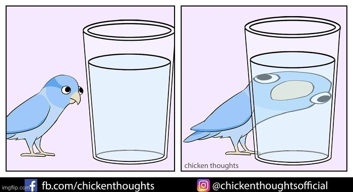 Birb comic: glass of water | image tagged in birb,comics | made w/ Imgflip meme maker