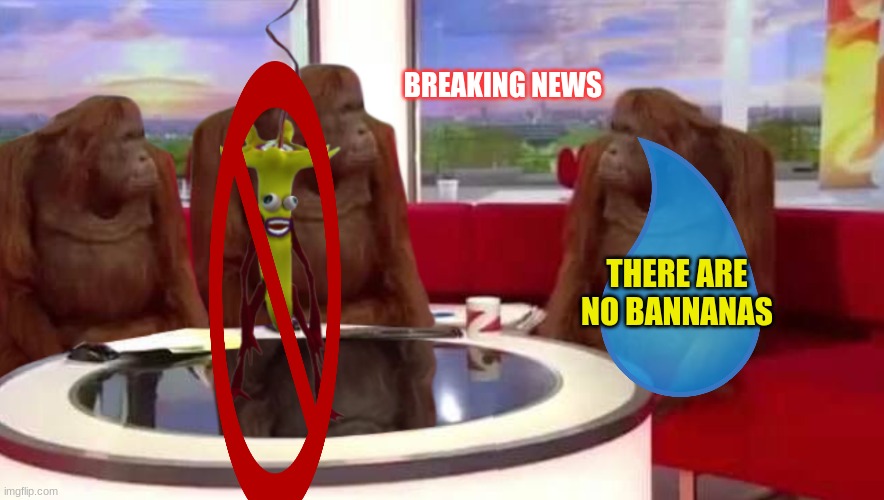 where monkey | BREAKING NEWS; THERE ARE NO BANNANAS | image tagged in where monkey | made w/ Imgflip meme maker