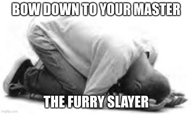 Bow Down | BOW DOWN TO YOUR MASTER THE FURRY SLAYER | image tagged in bow down | made w/ Imgflip meme maker