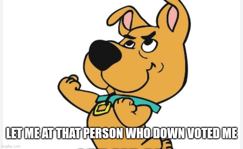 Scrappy doo | LET ME AT THAT PERSON WHO DOWN VOTED ME | image tagged in funny memes,scrappy doo | made w/ Imgflip meme maker