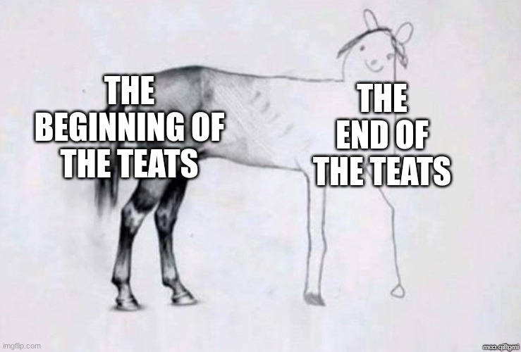 your hand righting | THE BEGINNING OF THE TEATS; THE END OF THE TEATS | image tagged in horse drawing | made w/ Imgflip meme maker