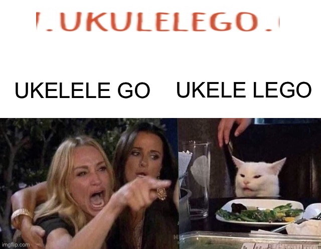 Women yelling at cat | UKELE LEGO; UKELELE GO | image tagged in women yelling at cat | made w/ Imgflip meme maker