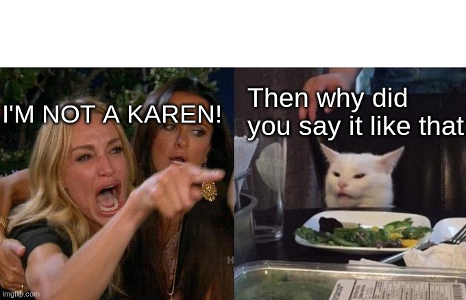 Woman Yelling At Cat Meme | Then why did you say it like that; I'M NOT A KAREN! | image tagged in memes,woman yelling at cat | made w/ Imgflip meme maker