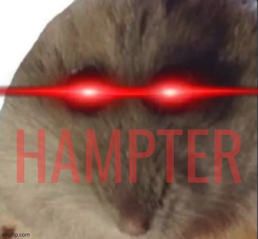 Hampter | HAMPTER | image tagged in hampter | made w/ Imgflip meme maker