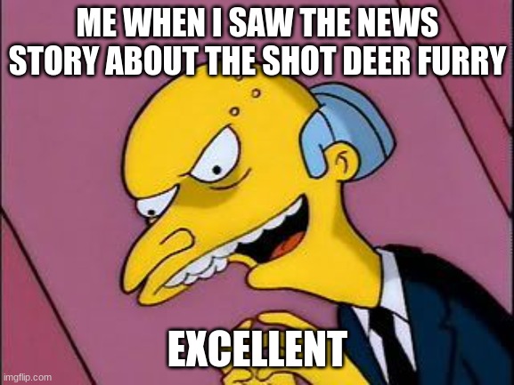 Excellent | ME WHEN I SAW THE NEWS STORY ABOUT THE SHOT DEER FURRY; EXCELLENT | image tagged in excellent | made w/ Imgflip meme maker