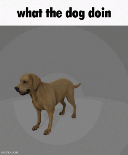 What da dog doin | image tagged in gifs,funny memes | made w/ Imgflip images-to-gif maker