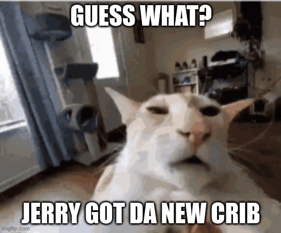 Jerry happy | GUESS WHAT? JERRY GOT DA NEW CRIB | image tagged in grumpy cat | made w/ Imgflip meme maker
