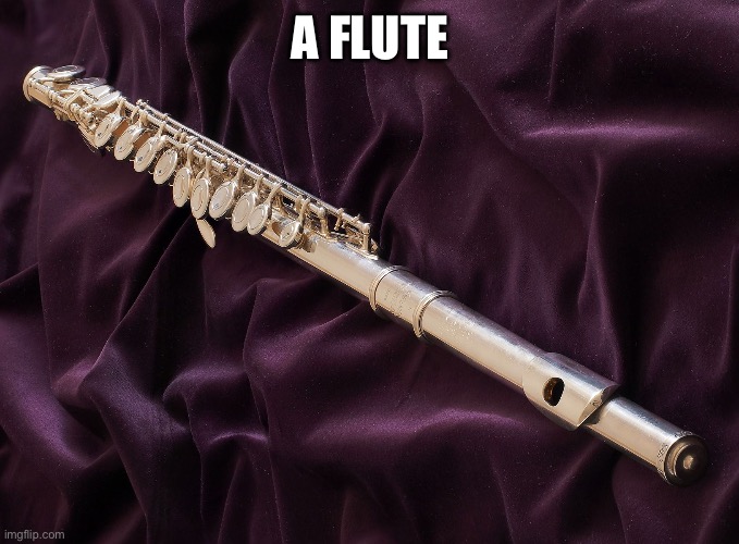 Cute flute | A FLUTE | image tagged in cute flute | made w/ Imgflip meme maker