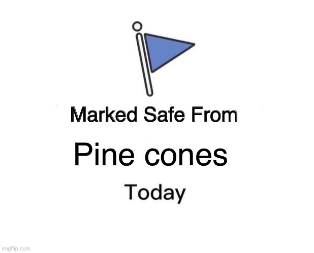 Marked Safe From | Pine cones | image tagged in memes,marked safe from | made w/ Imgflip meme maker