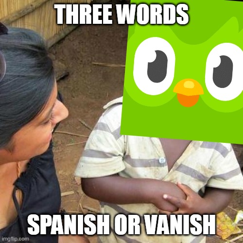 Better Hurry Or You Vanish | THREE WORDS; SPANISH OR VANISH | image tagged in duolingo | made w/ Imgflip meme maker
