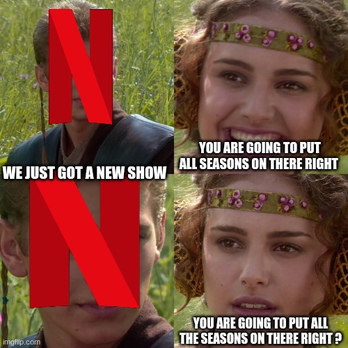 *sigh*  Netflix | YOU ARE GOING TO PUT ALL SEASONS ON THERE RIGHT; WE JUST GOT A NEW SHOW; YOU ARE GOING TO PUT ALL THE SEASONS ON THERE RIGHT ? | image tagged in anakin padme 4 panel | made w/ Imgflip meme maker