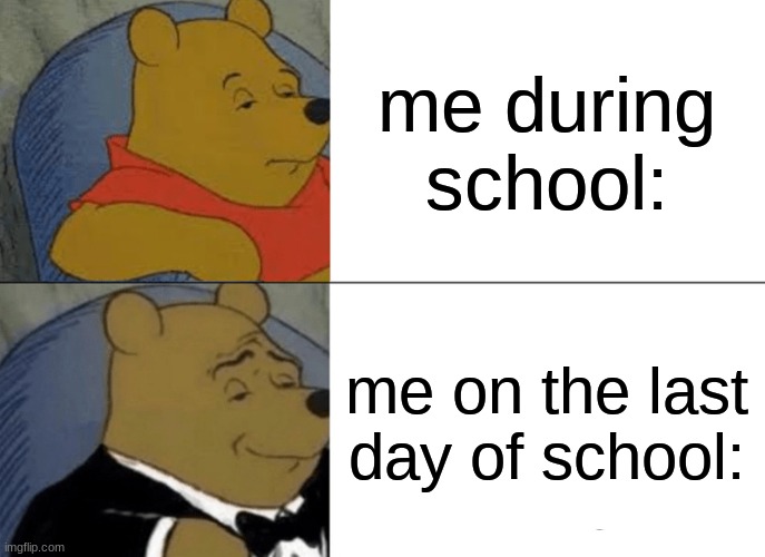 yayaayaya | me during school:; me on the last day of school: | image tagged in memes,tuxedo winnie the pooh | made w/ Imgflip meme maker
