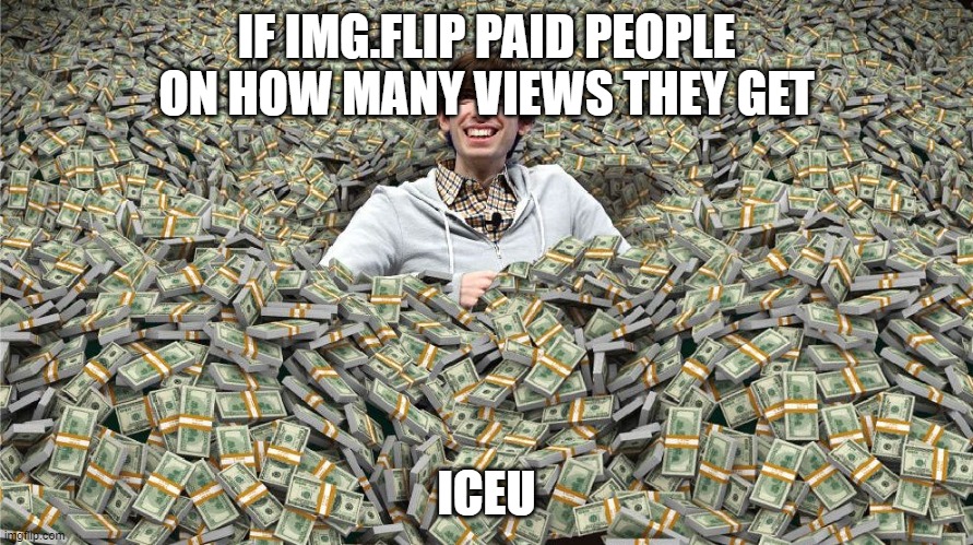 ITS JUST A JOKE | IF IMG.FLIP PAID PEOPLE ON HOW MANY VIEWS THEY GET; ICEU | image tagged in memes,money | made w/ Imgflip meme maker