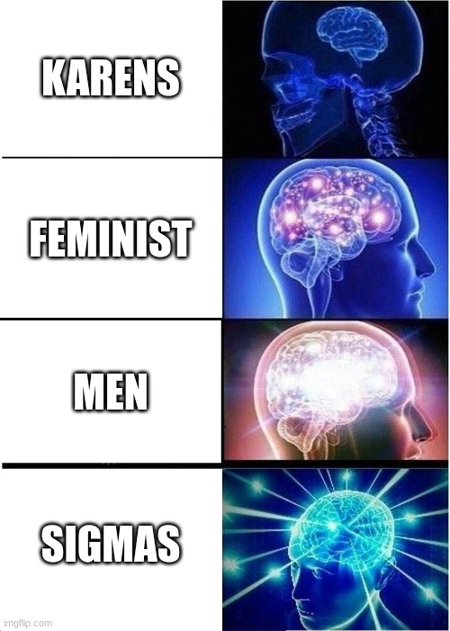 i ´ m not saying men are smarter than women | KARENS; FEMINIST; MEN; SIGMAS | image tagged in memes,expanding brain | made w/ Imgflip meme maker