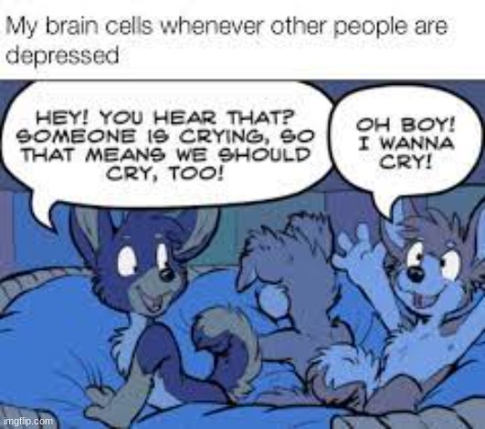 me in a nutshell (meme is by Not A furry on twitter) | image tagged in furry,the furry fandom,furry memes,memes,lol so funny | made w/ Imgflip meme maker