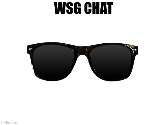 wsg | WSG CHAT | image tagged in blank white template | made w/ Imgflip meme maker