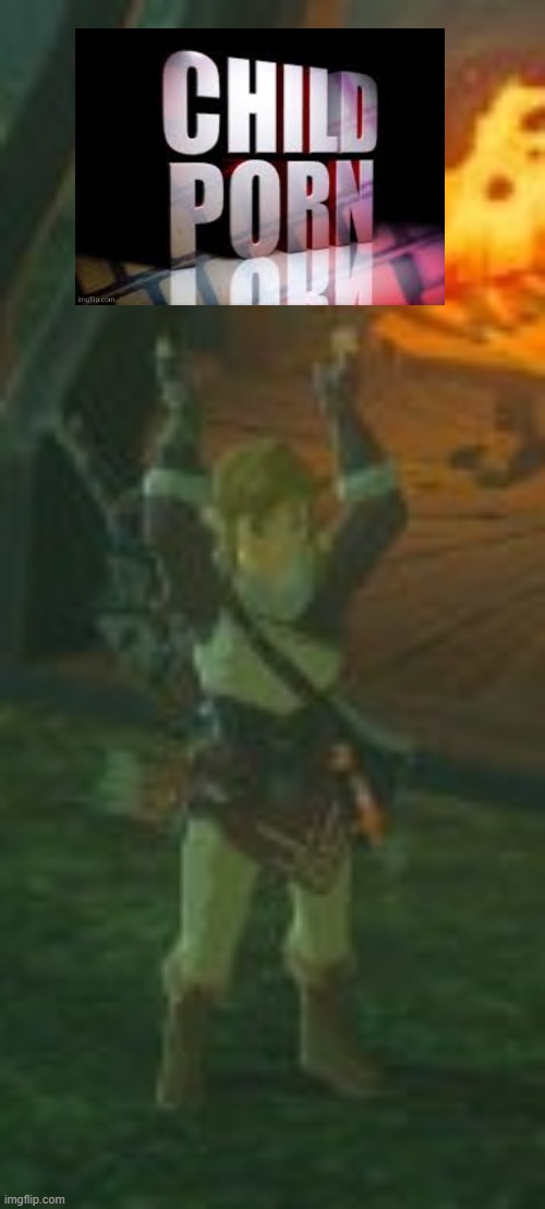 link holding x | image tagged in link holding x | made w/ Imgflip meme maker
