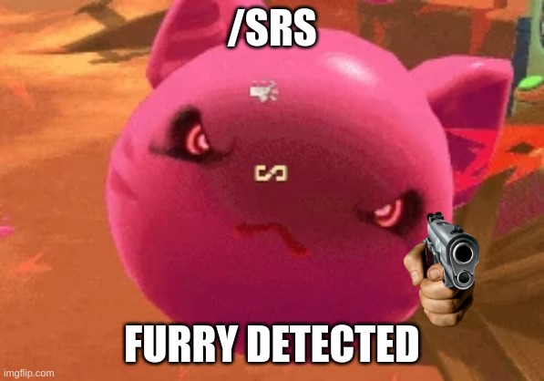 /SRS FURRY DETECTED | made w/ Imgflip meme maker