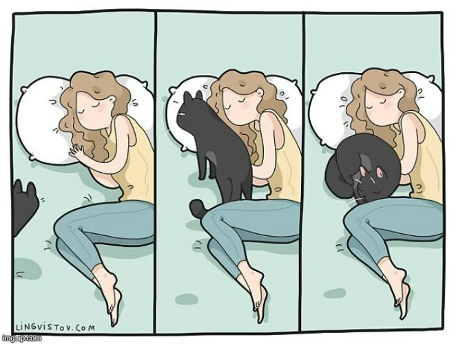 A Cat's Way Of Thinking | image tagged in memes,comics/cartoons,cats,sleeping beauty,ok,cuddle | made w/ Imgflip meme maker