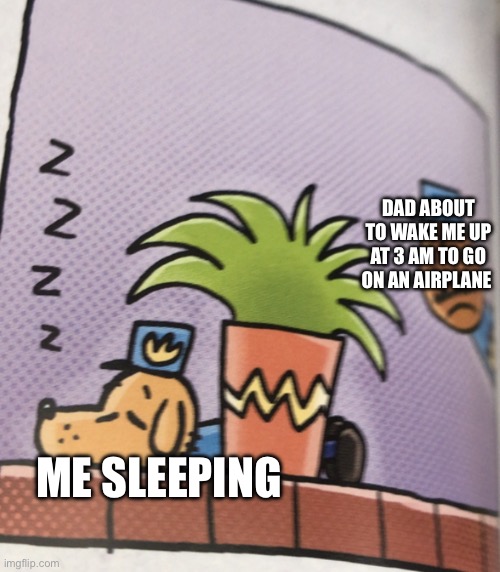 Dads Be Like: | DAD ABOUT TO WAKE ME UP AT 3 AM TO GO ON AN AIRPLANE; ME SLEEPING | image tagged in person staring at dog headed cop | made w/ Imgflip meme maker