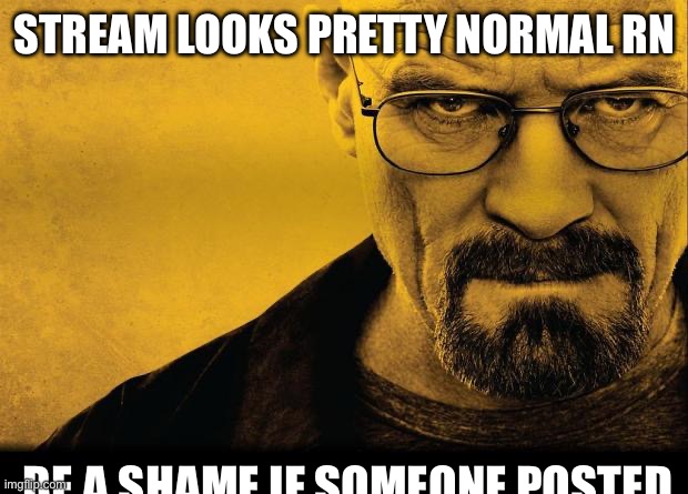 Breaking bad | STREAM LOOKS PRETTY NORMAL RN; BE A SHAME IF SOMEONE POSTED | image tagged in breaking bad | made w/ Imgflip meme maker