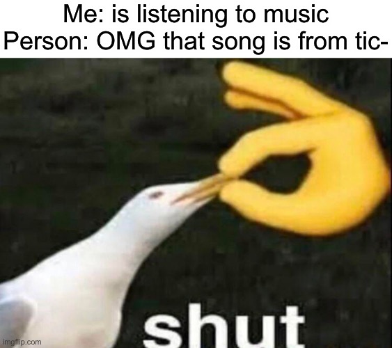 Lol | Me: is listening to music
Person: OMG that song is from tic- | image tagged in shut | made w/ Imgflip meme maker