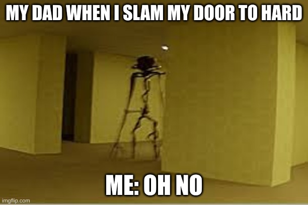 backrooms entity | MY DAD WHEN I SLAM MY DOOR TO HARD; ME: OH NO | image tagged in backrooms entity | made w/ Imgflip meme maker