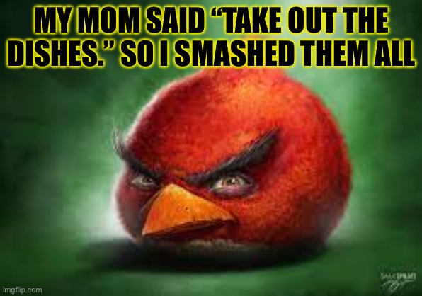 *stare* | MY MOM SAID “TAKE OUT THE DISHES.” SO I SMASHED THEM ALL | image tagged in realistic red angry birds | made w/ Imgflip meme maker