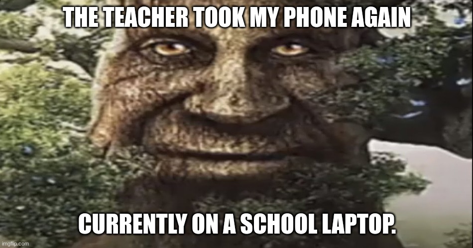 Wise mystical tree | THE TEACHER TOOK MY PHONE AGAIN; CURRENTLY ON A SCHOOL LAPTOP. | image tagged in wise mystical tree | made w/ Imgflip meme maker