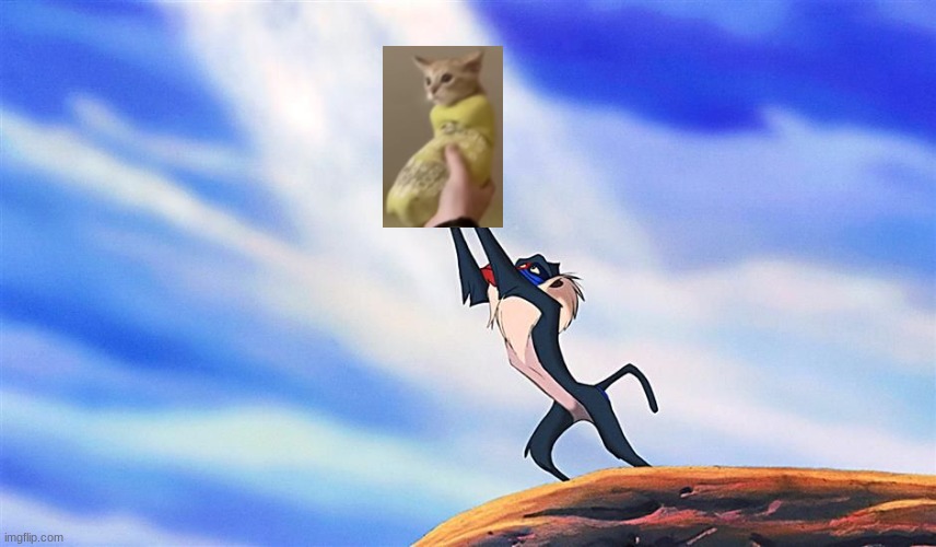 Lion King Rafiki Simba | image tagged in lion king rafiki simba | made w/ Imgflip meme maker