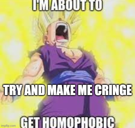 i be stroken and suckin on my dic-- | TRY AND MAKE ME CRINGE | image tagged in gohan homophobic | made w/ Imgflip meme maker