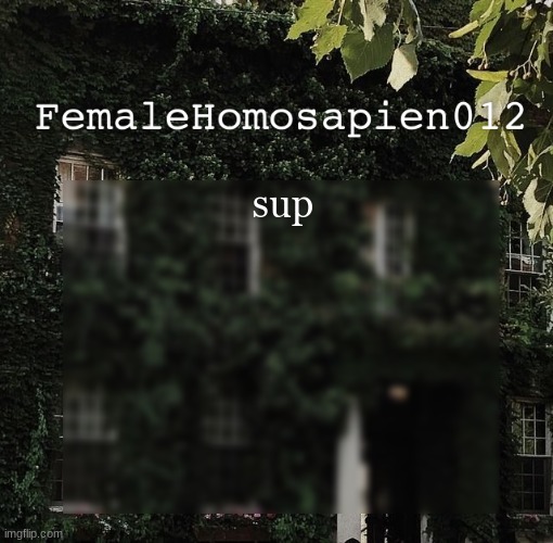 FemaleHomosapien012 | sup | image tagged in femalehomosapien012 | made w/ Imgflip meme maker