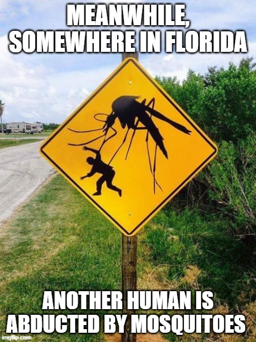 Meanwhile in Florida | MEANWHILE, SOMEWHERE IN FLORIDA; ANOTHER HUMAN IS ABDUCTED BY MOSQUITOES | image tagged in meanwhile in florida | made w/ Imgflip meme maker