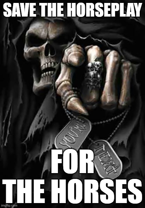 Grim Reaper | SAVE THE HORSEPLAY; FOR THE HORSES | image tagged in grim reaper | made w/ Imgflip meme maker
